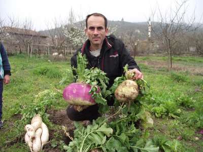 4 kilo 620 gramlık turp şaşırttı