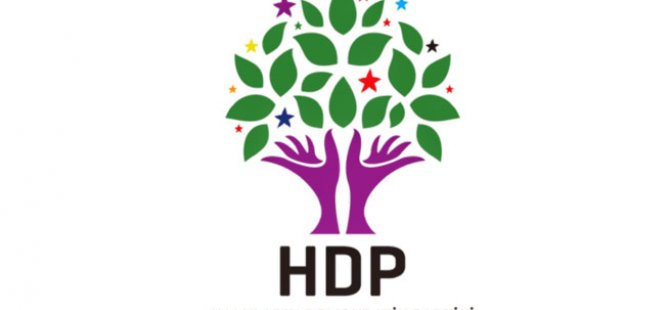 HDP'li vekile para cezası
