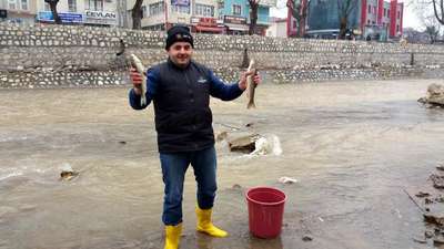 Balığın görülmedi derede balık ölümleri şaşırttı