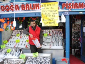 100 dolar bozdurana hamsi bedava