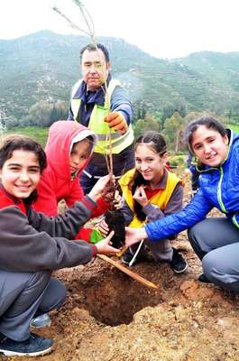 Bodrum'da Yeşil Seferberlik