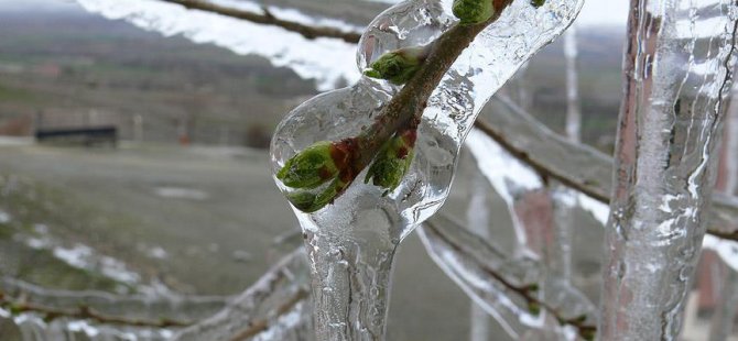 Meteorolojiden 5 il için don uyarısı