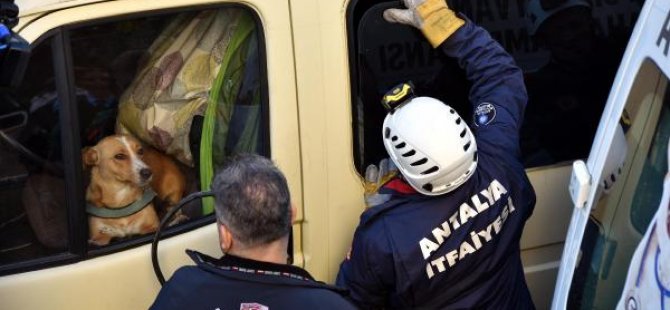 3 gündür minibüste unutulan köpek kurtarıldı