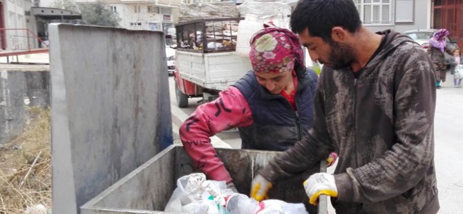 Çöpten mide bulandıran görüntüler çıktı