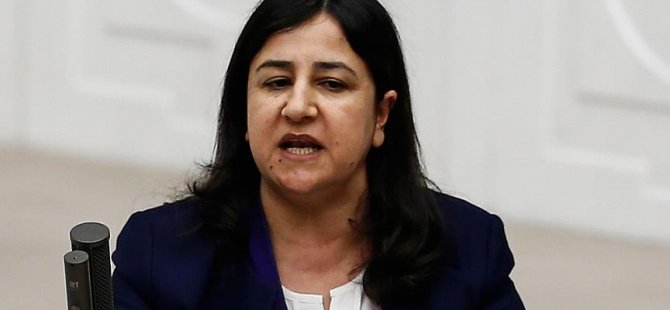 HDP Grup Başkanvekili Demirel tutuklandı