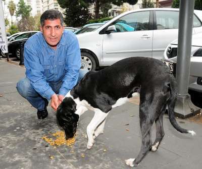 Çöpler yer altına indi, sokak hayvanları aç kaldı