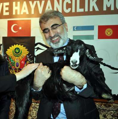 Yıldız: Gül'ün tercihi başımızın üstünde (2)