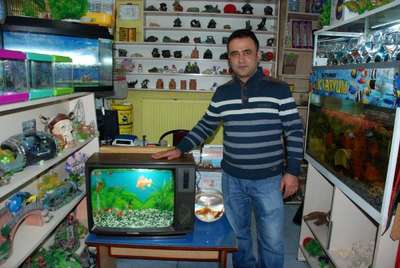 Televizyonu akvaryum yaptı