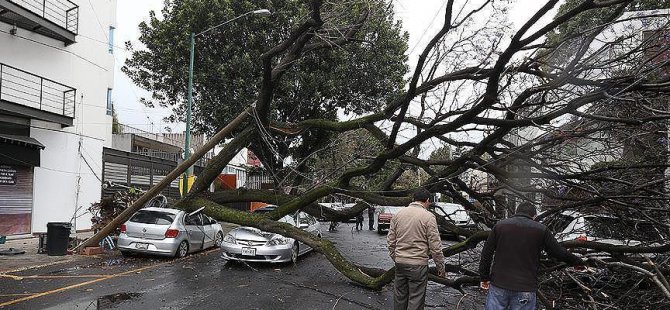 Almanya'da fırtına: 7 ölü
