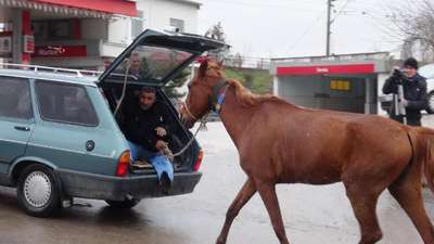 Atını böyle sürükledi