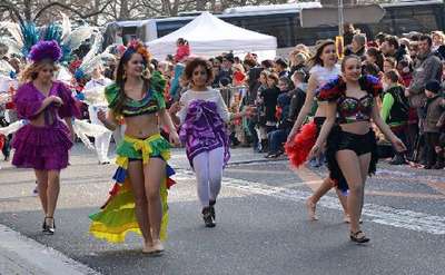Strasbourg karnavalı coşturdu