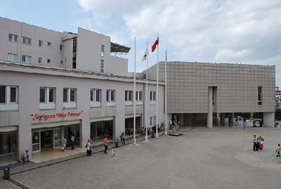 Kocaeli'de domuz gribi;1 kişi öldü, 2 kişi tedavi altında (2)- YENİDEN
