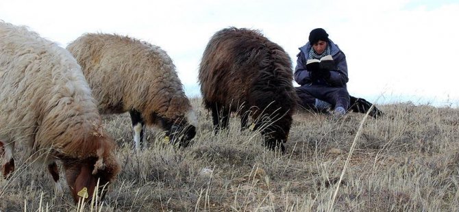 Türkiye'de 'ithal çoban' dönemi