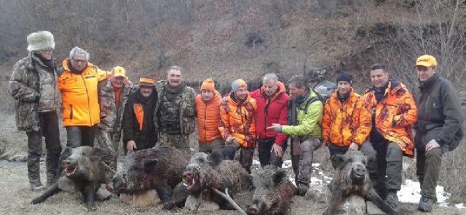 Avrupa'dan Türkiye'ye domuz avına geldiler