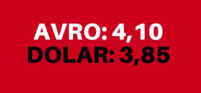 Avro ve dolarda yeni rekor