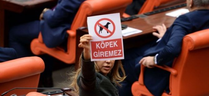 Genel Kurul'da 'köpek giremez' gerilimi