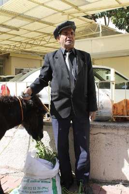 Bağımsız milletvekili adaylı eşekle dolaşıp oy istiyor