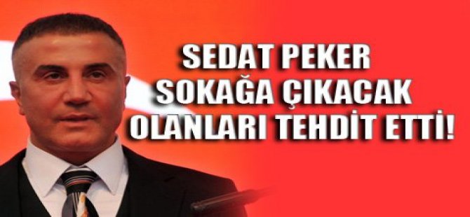 Sedat Peker'den 'Evet' kampanyasına destek