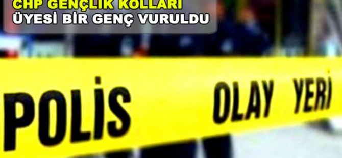 'Hayır' kampanyası yapan CHP'li vuruldu