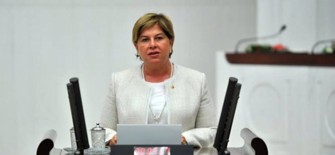 Elif Doğan Türkmen istifa etti