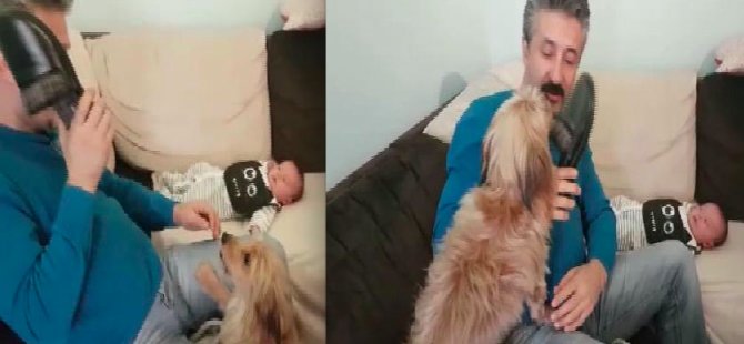 Gurbetçi ailenin köpeği bebeğe kalkan oldu