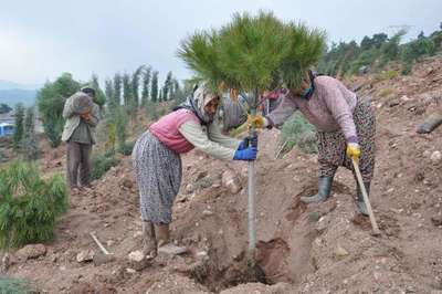 Cumhurbaşkanı adına hatıra ormanı