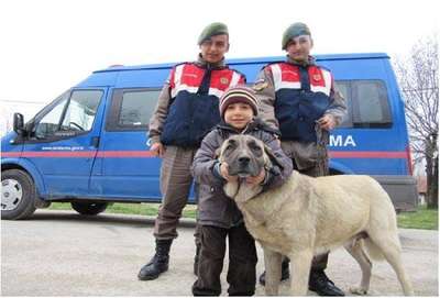 Çalınan kangalı jandarma buldu