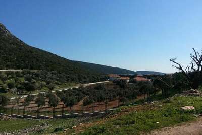 Urla villaları planına mimarlardan itiraz