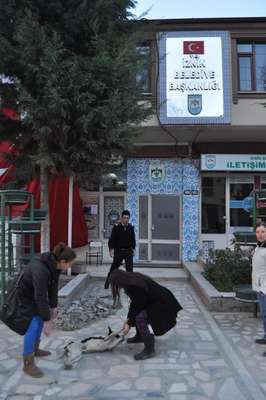 Vurulan köpeği İznik Belediyesi önüne bıraktılar