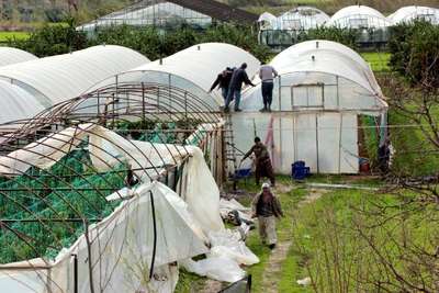 ANTALYA'DA HORTUM SERALARI VURDU (2)