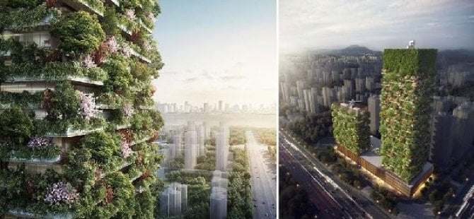 Çin’de hava kirliliğine karşı ‘orman gökdelenler’
