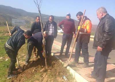 İslahiye’de 10 bin fidan dikildi