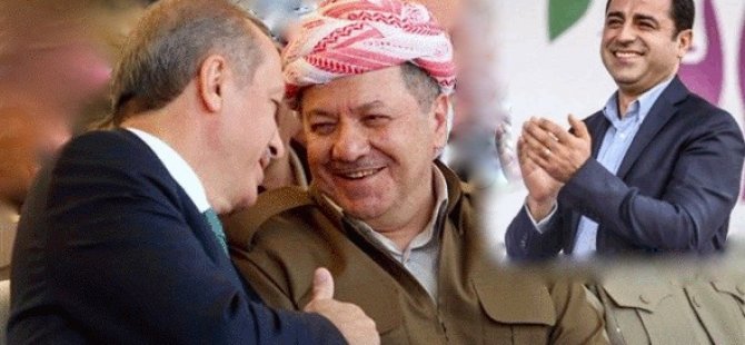 'Erdoğan cesur bir siyasetçi, barış için Demirtaş'ı serbest bırakmalı'