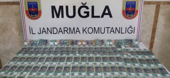 Gurbetçiler dolandırıcıların elinden son anda kurtuldu