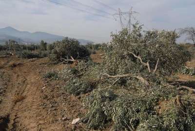 Soma'daki yeni tartışma; gerçek Yırcalı, sahte Yırcalı