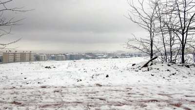 Elazığ'da 146 köy yolu kardan kapandı