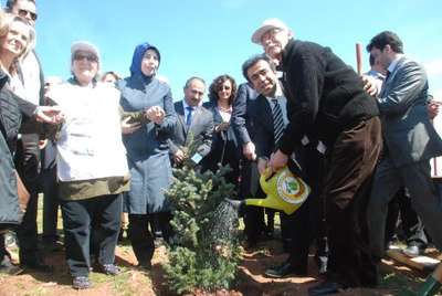 Gebze'de 12 bin  fidan dikildi