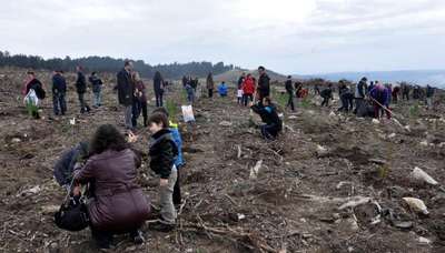 Çanakkale'de 'Bereket Ormanı' oluşturuldu