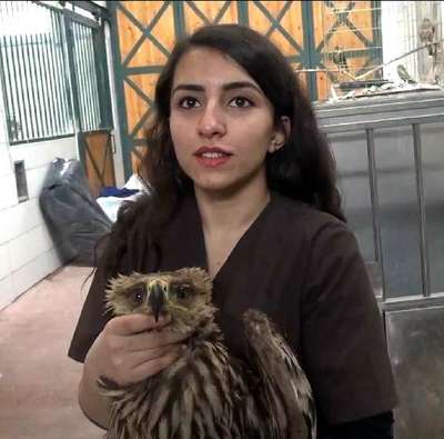 Veterinerlik fakültesi hastanesinin ‘Zorunlu misafirleri’