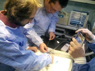 Köpeğin nefes borusuna insanlarda kullanılan stent takıldı