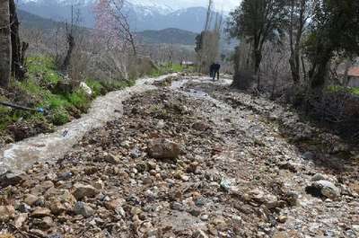 Denizli'de dereler taştı, evleri su bastı, tarım arazileri zarar gördü (2)