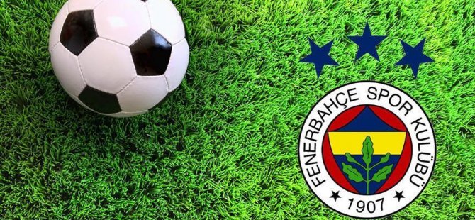 Kameni Fenerbahçe'de