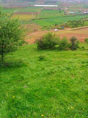 Beydağ'da silahlı mera kavgası: 1 ölü, 1 yaralı
