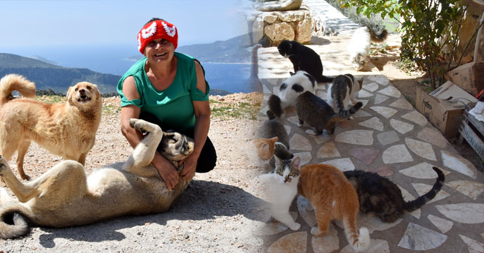 167 kedi, 9 köpeğe bakıyor