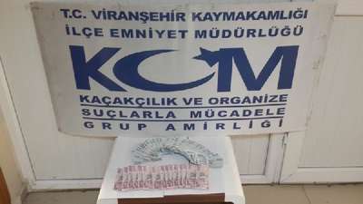 Viranşehir'de sahte para operasyonu: 2 gözaltı
