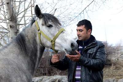 Rahvan atı ırkının korunması için damızlık üretime geçildi