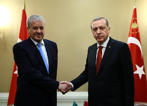 Sandığa çağrı: Kocanız oy vermezse dövün