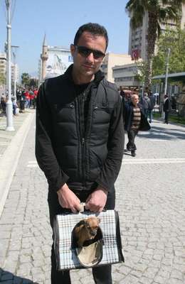 Çantada köpek