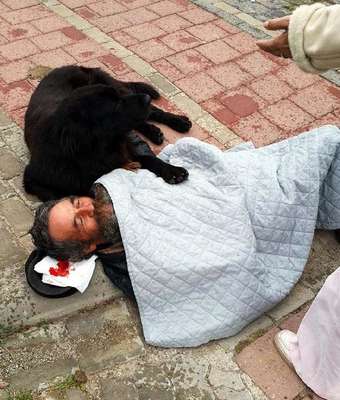 Köpeği 'Yaren' bir an olsun yanından ayrılmıyor