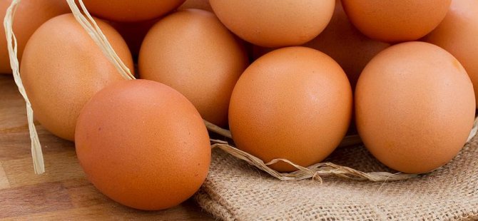 Almanya'da yumurtalarda bakteri alarmı